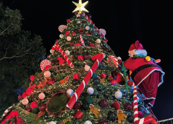 ✨ ¡Llegó la Navidad al maravilloso parque de #Berriozábal! 🎄🎄