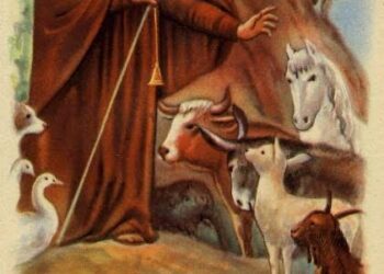 La Fiesta de San Antonio Abad en San Juan Chamula: Tradición y Espiritualidad Maya