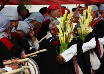Celebrando la Diversidad Lingüística: El Día Internacional de la Lengua Materna