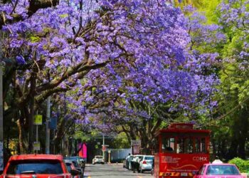 La primavera explota en colores