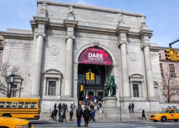 ¿Una noche en el museo? Mejor un día completo en este universo de maravillas