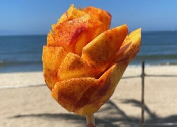 El Mango: Rey de la Primavera Mexicana