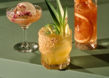 ¡Brindis por el Día Mundial del Cóctel!