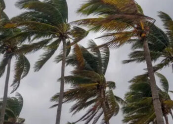 Se alerta de un tormenta tropical