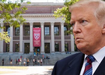 Harvard vs. Trump: La batalla por los estudiantes del mundo