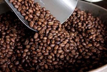 Entre aromas y raíces: el alma del café chiapaneco