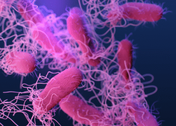 Los sintomas de esta bacteria