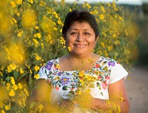 Leydy Pech: la guardiana maya que salvó a las abejas y enfrentó a Monsanto