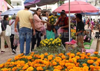 Tianguis dominical de flores en Berriozábal