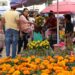 Tianguis dominical de flores en Berriozábal