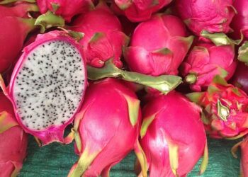 La Pitaya: La Reina de las Frutas de Temporada