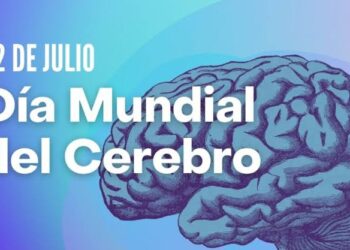 Celebrando Nuestro Cerebro: Un Órgano Maravilloso