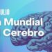 Celebrando Nuestro Cerebro: Un Órgano Maravilloso