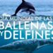Celebrando la Vida Marina: El Día de las Ballenas y los Delfines