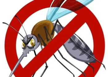 Día Internacional contra el Dengue: un llamado global a la prevención y la conciencia