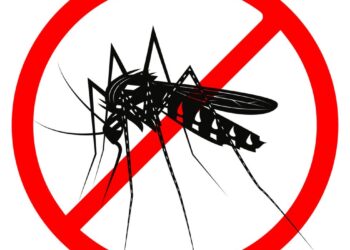 Aumentan casos de dengue en México