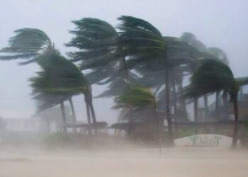Kiko: Una nueva tormenta formándose en el Océano Pacífico