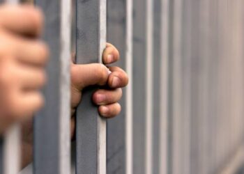 ¿Falsa paternidad con cárcel? Lo que sí (y no) dice la iniciativa del PVEM