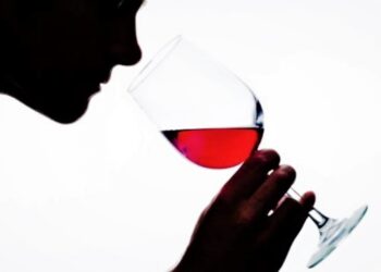 El arte de la cata de vino: entre sentidos, historia y pasión