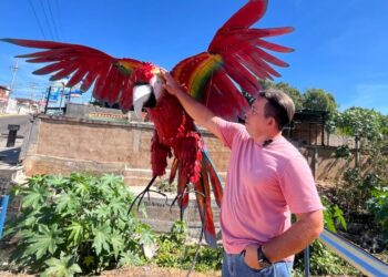 Yhorby Ventura, el venezolano que transforma chatarra en arte pop