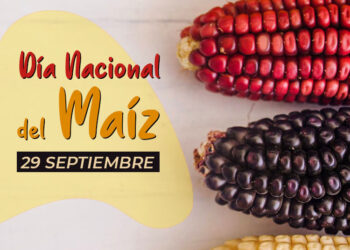 México Celebra su Tesoro Ancestral: Día Nacional del Maíz