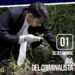 1 de Septiembre Día del Criminalista: Tras la Pista de la Verdad