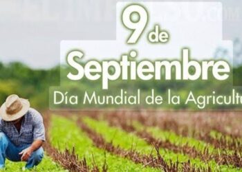 Cultivando el Futuro: Celebrando el Día Internacional de la Agricultura