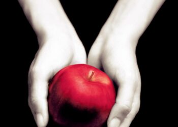 “Crepúsculo”: 20 años del fenómeno que redefinió el amor adolescente en la literatura