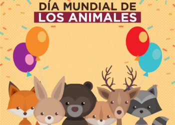 Celebrando a Nuestros Compañeros de Planeta: Día Mundial de los Animales