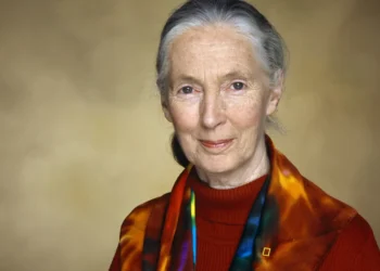 Jane Goodall: Revolucionaria de la Ciencia y Guardiana de los Primates y la Naturaleza