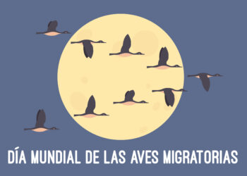 Alas Sin Fronteras: Celebrando el Día Mundial de las Aves Migratorias