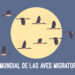 Alas Sin Fronteras: Celebrando el Día Mundial de las Aves Migratorias
