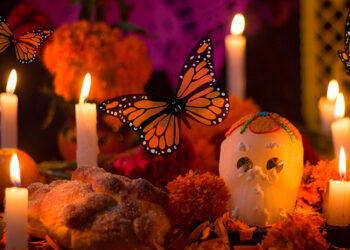 La Mariposa Monarca: Un Vuelo de Trascendencia en el Día de Muertos