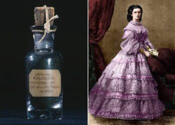 El Malva: Un Tinte Accidental con un Legado Agridulce