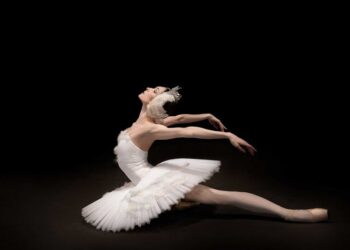 Un Legado de Elegancia: El Lago de los Cisnes