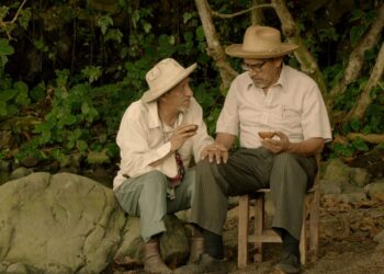 El Último Susurro del Zikril: Un Canto a la Memoria y la Reconciliación