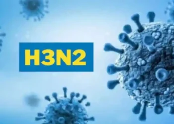 Alerta H3N2: la gripe del invierno que empieza con fuerza