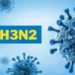 Alerta H3N2: la gripe del invierno que empieza con fuerza