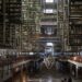 La Biblioteca Vasconcelos: Un ícono cultural y arquitectónico de la CDMX