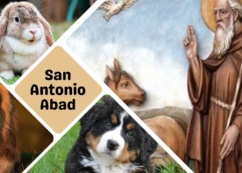 San Antonio Abad: La Tradición que Une Fe y Cuidado por los Animales