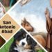San Antonio Abad: La Tradición que Une Fe y Cuidado por los Animales