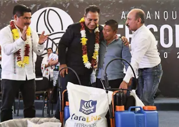 Impulsan a más de 25 mil cafetaleros en Chiapas