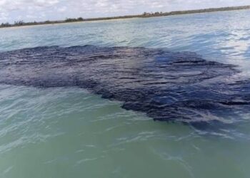 Derrame de petróleo en el Golfo de México afecta costas de Veracruz y Tabasco y enciende alertas ambientales