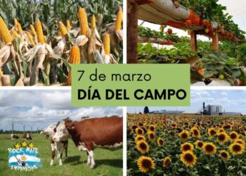 El 7 de marzo: Día del Campo, un homenaje al corazón rural
