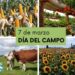 El 7 de marzo: Día del Campo, un homenaje al corazón rural