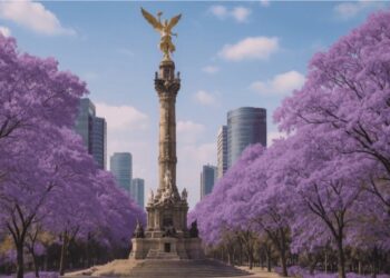 Las jacarandas: el manto violeta que tiñe la CDMX en marzo