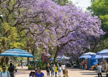 El solsticio de primavera: el despertar de las estaciones en México