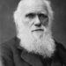Charles Darwin: El legado eterno de la evolución