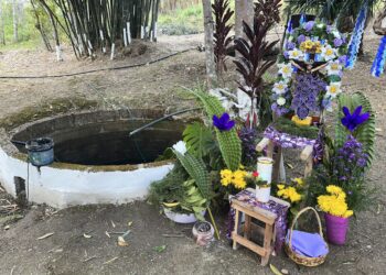 Celebración al Señor del Pozo