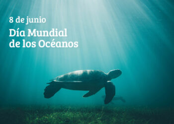 Día Mundial de los Océanos: guardianes de la vida en la Tierra